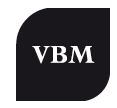 Logo-Vibiemme